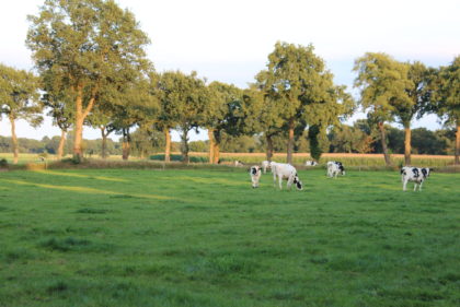 Landwirtschaft